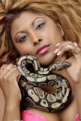 Portrait photo glamour avec serpent